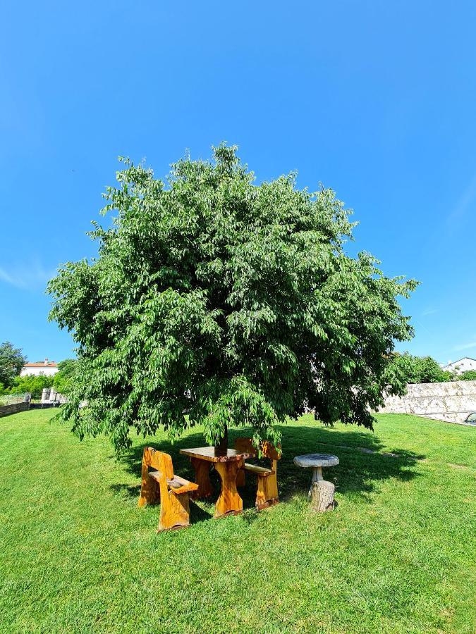 Guesthouse Casa Barbaro Rovinjsko Selo Exteriér fotografie